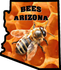 Maybe you would like to learn more about one of these? Bee Removal Phoenix Az Bee Control Phoenix Az Honeycomb Removal Service