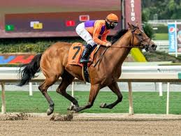 Choose from our list of tracks for today's free horse racing picks. Free Might Not Need Big Money To Hit Pick Six On Sunday