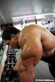 Pin On 2012 Favorite Bodybuilding Pics Roelly winklaar took 3rd place at the 2018 mr. pin on 2012 favorite bodybuilding pics