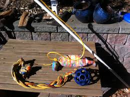 Looking for a good deal on flirt pole? The Power Of Play Go Play With Your Dog Dog S Day Out