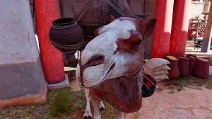 Origins is a reboot of assassin's creed series. Assassins Creed Origins Camel At Alexandria Market Imgur