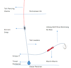 Berikut cara membuat rangkaian pancing kakap putih anti mocel menggunakan treble hookrangkaian kakap ini menggunakan teknik pelampung, sangat cocok di gunaka. Cara Membuat Rangkaian Pancing Ikan Kakap Putih Barramundi Aliems Journey