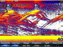 How To Read Fish Finder Screen Fish Finder Fishing Tips Fishing Techniques
