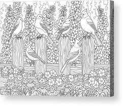 4.7 out of 5 stars. Birds In Flower Garden Coloring Page Acrylic Print By Crista Forest