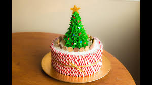 The original cake is for a big pioneer family. How To Make A Christmas Cake Youtube