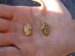 Check spelling or type a new query. Step By Step Guide To Detect Gold With Your Metal Detector