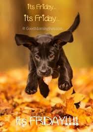 So, we have made a complete guide on this special day with history, quotes, wishes, messages . 100 Motivational Good Morning Friday Quotes Wishes Good Morning Fun
