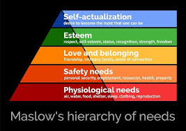 Image result for maslow's hierarchy of needs