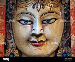 Tara Temple's Instagram, Twitter & Facebook