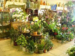 Check spelling or type a new query. Modesto Exotic Flowers Home Facebook