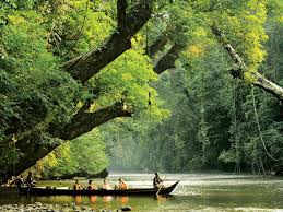 See 73 reviews, articles, and 129 photos of taman negara national park, ranked no.3 on tripadvisor among 58 attractions in kelantan. Malaysia S National Parks