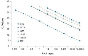 Incorporating cdna into the vector. Goscript Reverse Transcriptase Reverse Transcription Cdna Synthesis