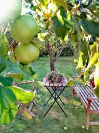 So finden sie die perfekte sorte für ihren garten. Abendsonne Garten Apfelbaum Schattenplatz Couch