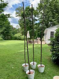 Be sure your container is stable and won't tip over before you step away from it. Affordable Patio Entertaining How To Easily Hang Outdoor String Lights Without Trees