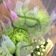 Start off your shopping excursion in sylvan park and stop by elle gray (women's clothing), oak nashville (home decor), and import flowers (flower shop). Import Flowers Sylvan Park 2 Tips