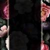 برنامج تصميم فيديو قوي يحتوي على اغاني وصور وتحرير فيديو وكتابة ومقاطع. Https Encrypted Tbn0 Gstatic Com Images Q Tbn And9gcq0hhhyhr8kgg1ldcxpi2ulicj6gbcpchwyma8x13pqxh0r1nn0 Usqp Cau