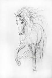 37 Trendy Drawing Ideas Pencil Horse Horse Art Drawing Horse Pencil Drawing Horse Drawings