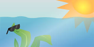 Cellular respiration occurs within mitochondria plant cells depend on photosynthesis to make atp. How Does Photosynthesis Take Place In Our Oceans Frontiers For Young Minds