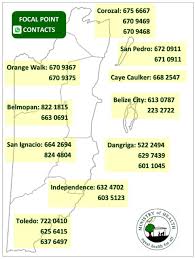 All data and statistics are based on. Hotline Focal Point For Covid 19 Ministry Of Health Government Of Belize Press Office