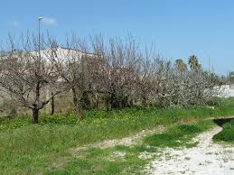 5 best villas and apartments in bagnolo del salento. Lotti Di Terreno Edificabile In Vendita A Bagnolo Del Salento Vicino Otranto