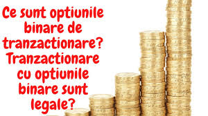 Afacere profitabila cu 1000 euro. 7 Idei De Afaceri Cu Bani Putini Pe Care Le Poti Lansa In Scurt Timp Face Bani Ce Afacere SÄƒ Deschizi