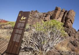 Felicity Jones braless candid shots