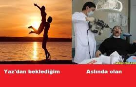 Ortadoğu ve arap edebiyatı kitapları. Dental Caps Dental Mizah Twitter
