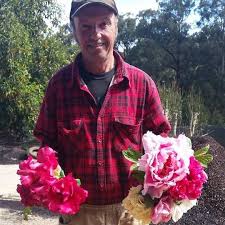 Did you scroll all this way to get facts about garden peonies? Peonies Of Paeon Home Facebook