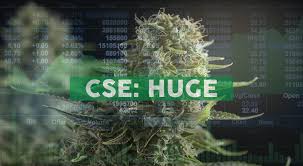 Fundamental company data and analyst estimates provided by factset. Red Light Holland Announces Strategic Mutual Investment With Pharmadrug Weedstreet420