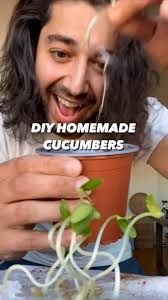 DIY Homemade Cucumbers