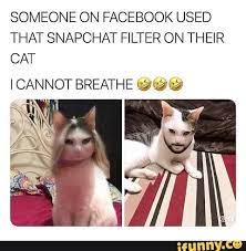 Someone On Facebook Used That Snapchat Filter On Their Cat Icannot Breathe Guiavª Ifunny Funny Cat Memes Funny Animal Jokes Funny Relatable Memes
