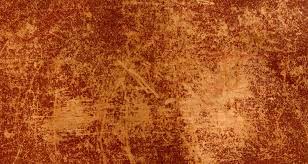 How To Take Care Of Kangaroo Leather