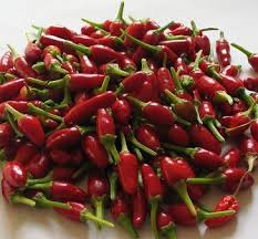 We did not find results for: Seedman S Pepper Seed Supply