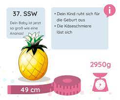 Ssw » gewicht & größe vom baby ✓ ratgeber zu geburt & wehen ✓. 37 Ssw Schwangerschaftswoche