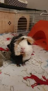 Maybe you would like to learn more about one of these? Buo 0hzllonh3m