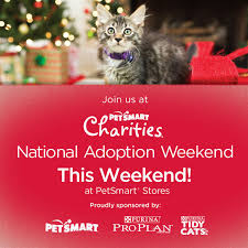 The kids were super excited and asked me if we could have a birthday party for mittens. Wags To Whiskers Of Texas Inc Non Profit Animal Rescue Past Events