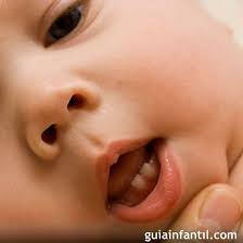 Orden De Salida De Los Dientes De Leche Del Bebe