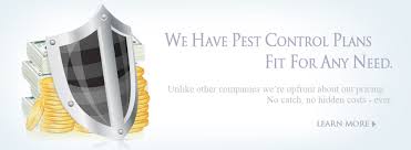 White knight pest control offers termidor® certified professional. Termite Pest Control Black Knight Pest Temecula Ca