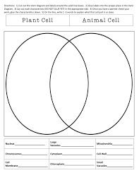 Learn vocabulary terms and more with flashcards games and other study tools. Compare And Contrast Plant And Animal Cells Sort