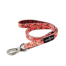 The Posy Pink Leash Dog Harness Cute Dog Collars Girl And Dog
