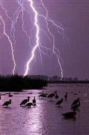 Lightning In 2020 Lightning Storm Lightning Photography Nature