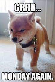 Trending images, videos and gifs related to monday! 60 Best Collection Monday Memes