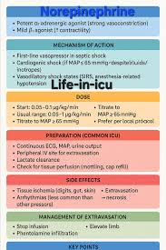 Image result for Vasopressor