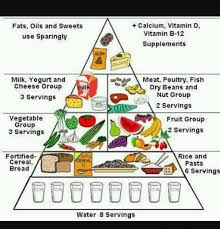 prepare a diet chart to provide balance diet to a 12 year