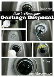 How To Clean Your Garbage Disposal Garbage Disposal Cleaning Garbage Disposal Cleaning Hacks