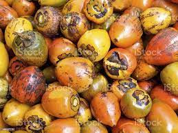 Foto De Palm Chontaduro Pessego Ou Pewa Colombia E Mais Fotos De Stock De Colombia Istock