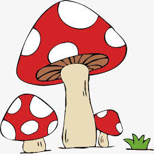 Vecteur De Dessin Anime Champignon Herbe Rouge Champignon Clipart Vecteur De Dessin Anime Vecteur D Herbe Fichier Png Et Psd Pour Le Telechargement Libre Champignon Dessin Fond D Ecran Dessin Dessin