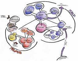 These diagrams are used at the preliminary phase of the design process and are used for space planning and organization. Https Www Dallasadex Org Wp Content Uploads 2020 03 Bubble Diagram Activity Pdf
