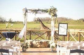 Matt Leslie Jewish Wedding At The Columbus Zoo S Heart Of Africa Columbus Ohio Columbus Zoo Ohio Wedding Venues Zoo Wedding