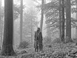 Taylor swift poster, taylor swift evermore, taylor swift merch, album cover poster, wall decor, swiftie, taylor swift gift, evermore. Taylor Swift Explains Why The Word Woodvale Appears On Her Folklore Cover Art The Independent